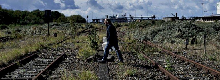 Baneterræner kan være rene oaser for vigtig flora og fauna