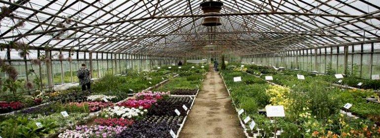102 ud af 174 gartnerier i Odense Kommune udleder pesticider