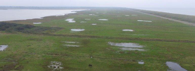  Våde strandenge er genoprettet ved Nissum Fjord