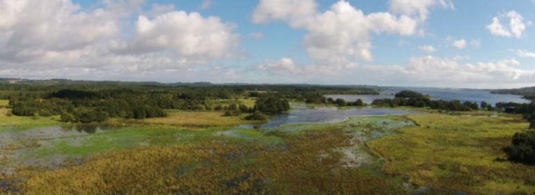 Ferskvandsdelta på vej ved Mossø