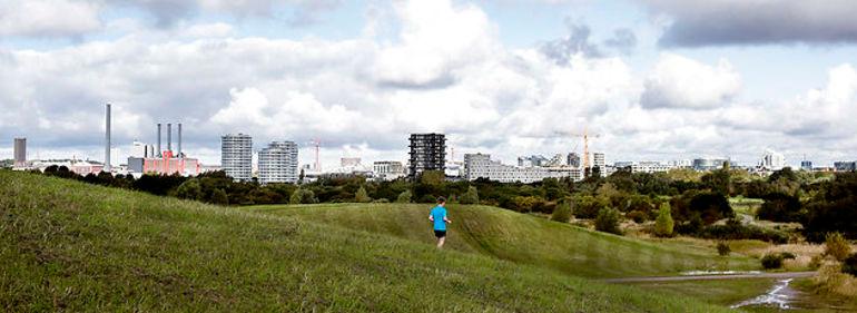 Nye boliger havner et andet sted på Amager Fælled