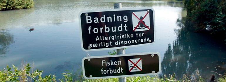 Regionen klar til at undersøge Grindsted-forureningerne  