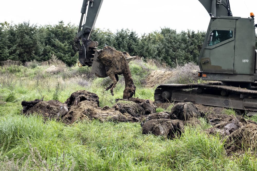 Foto &copy;Henning Bagger/Ritzau Scanpix
