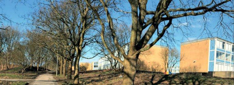 Esbjerg planlægger at rive fire boligblokke ned i udsat område