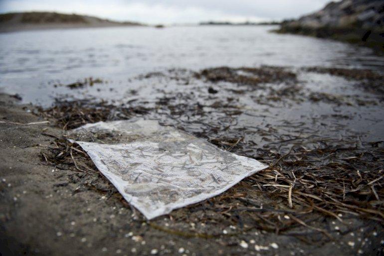 Københavns Kommune udskyder udledning af spildevand i Øresund