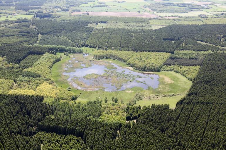 Danmarks første naturnationalparker får kvalitetsstempel 