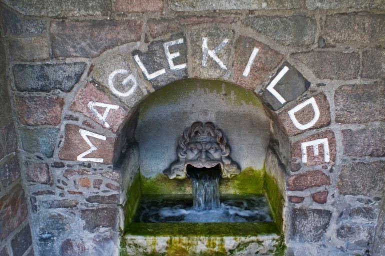Roskilde vil spare drikkevand ved at vande parker med kildevand