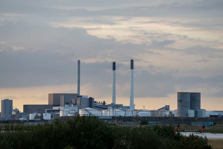 Lars Laursen/Biofoto/Ritzau Scanpix