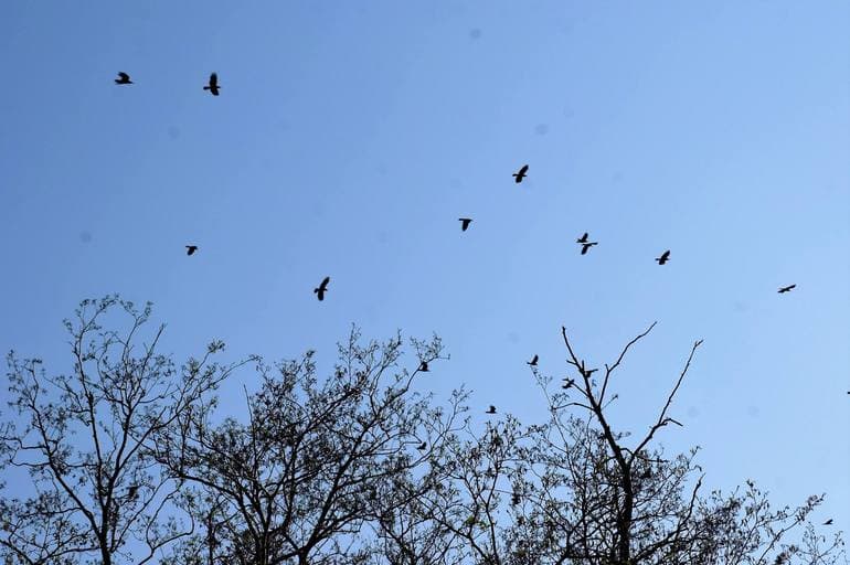 Foto: Vesthimmerlands Kommune.