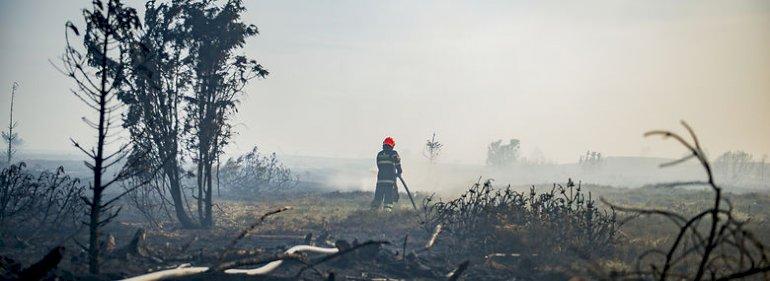 Brand på Randbøl Hede raserede otte kvadratkilometer