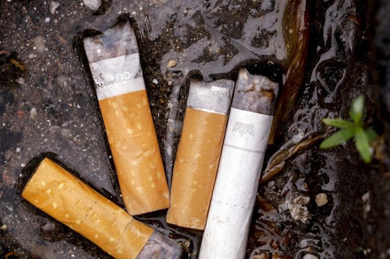 Tobaksindustrien skal betale for oprydning af cigaretskod