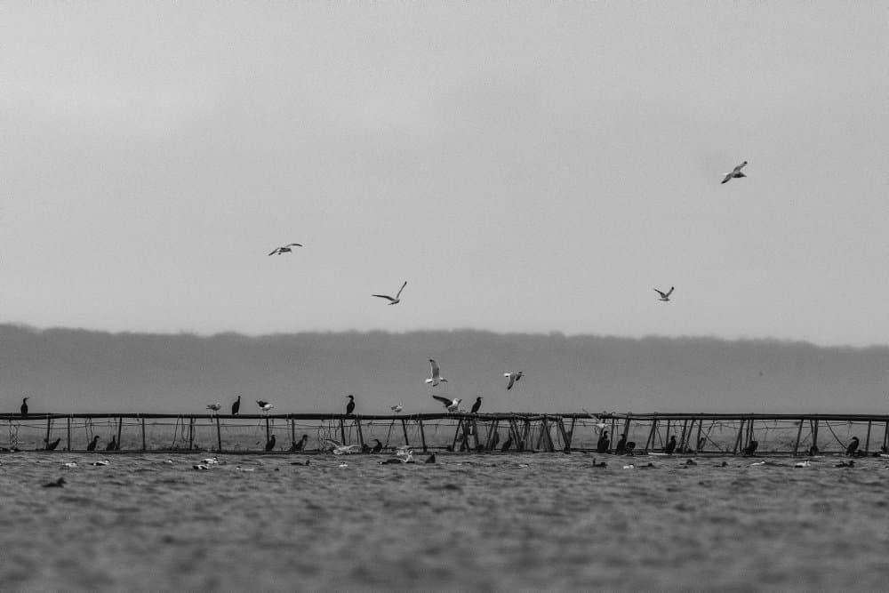 Foto ©Bo Amstrup/Ritzau Scanpix